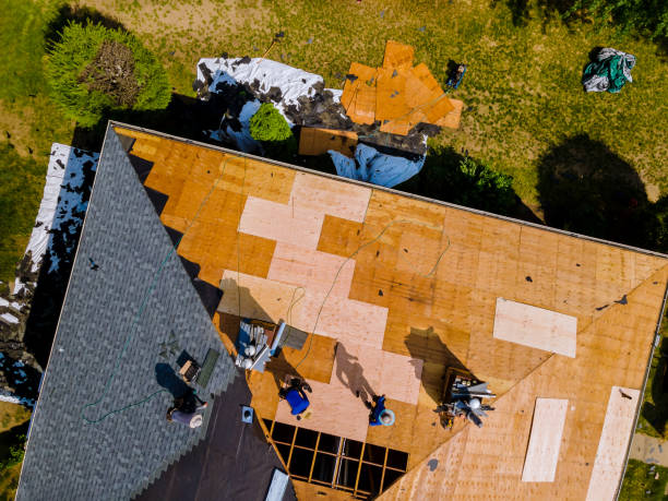 Best Roof Repair Specialists  in Patterson Tract, CA